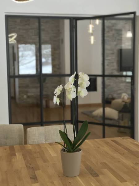 Porte verrière en acier à Lyon